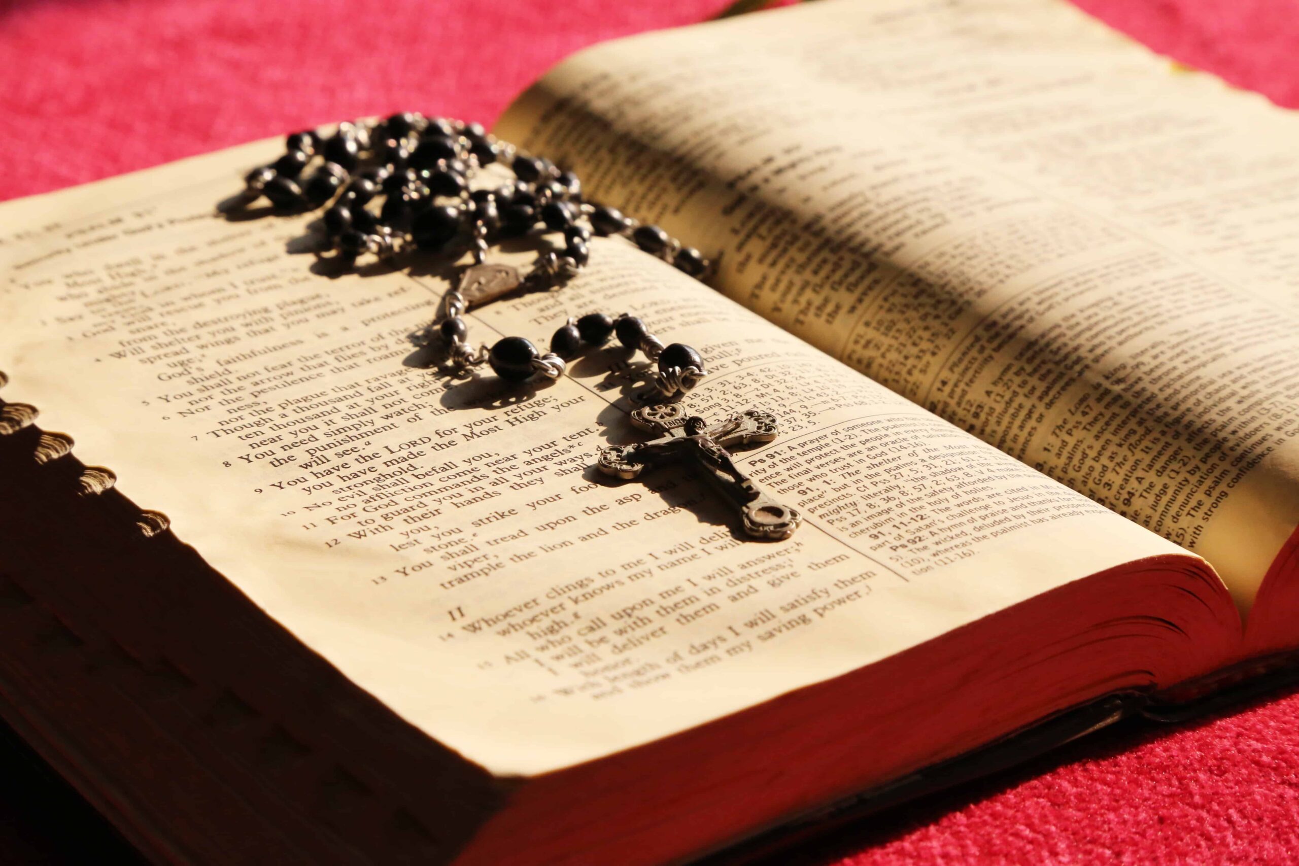 Daily Readings for June, 2026 – Updated Daily